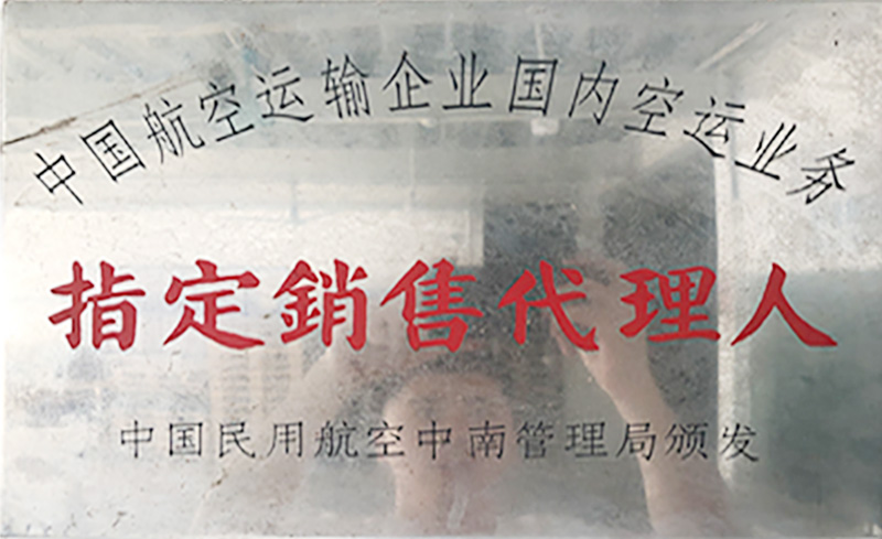 中國航空運(yùn)輸企業(yè)國內(nèi)空運(yùn)業(yè)務(wù)指定銷售代理人