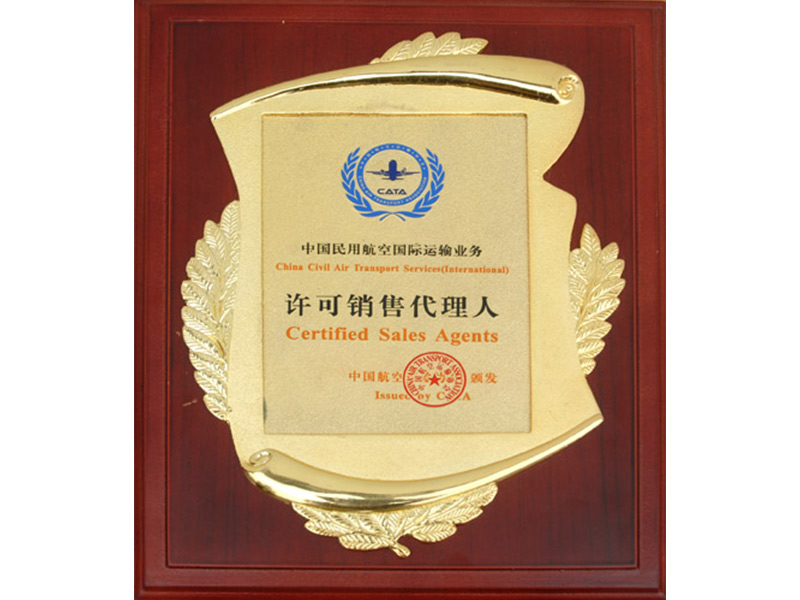 中國民用航空國際運(yùn)輸業(yè)務(wù)