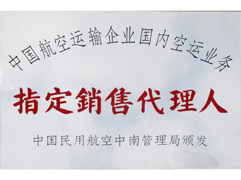 中國航運(yùn)輸企業(yè)國內(nèi)空運(yùn)業(yè)務(wù)指定銷售代理人